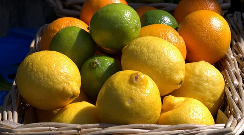 images/1677743401484citrus grading machine.jpg